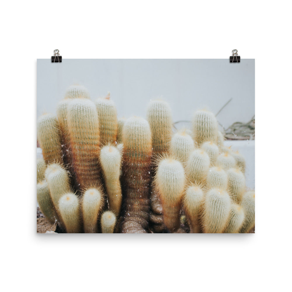 Guarded ©AndyAlexPhotography