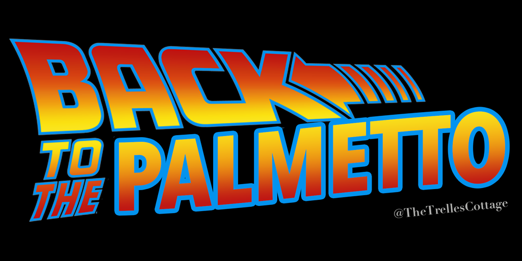 Back to the Palmetto Car Magnet