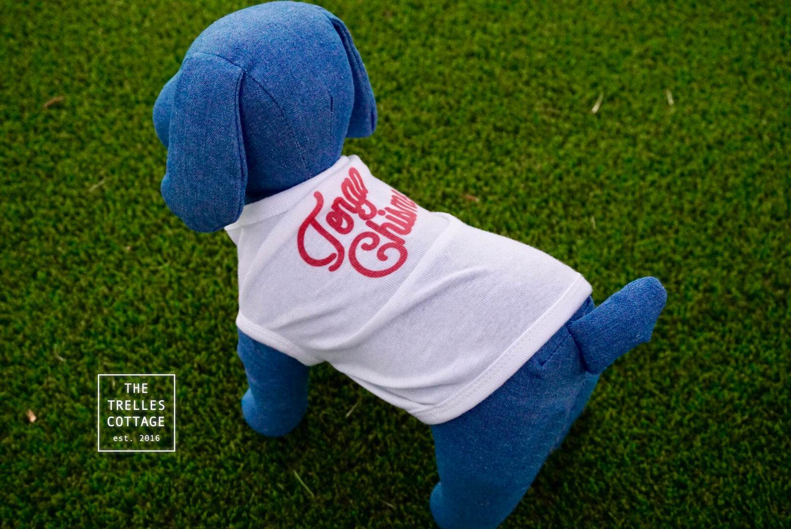 Tengo Chisme Dog Tee