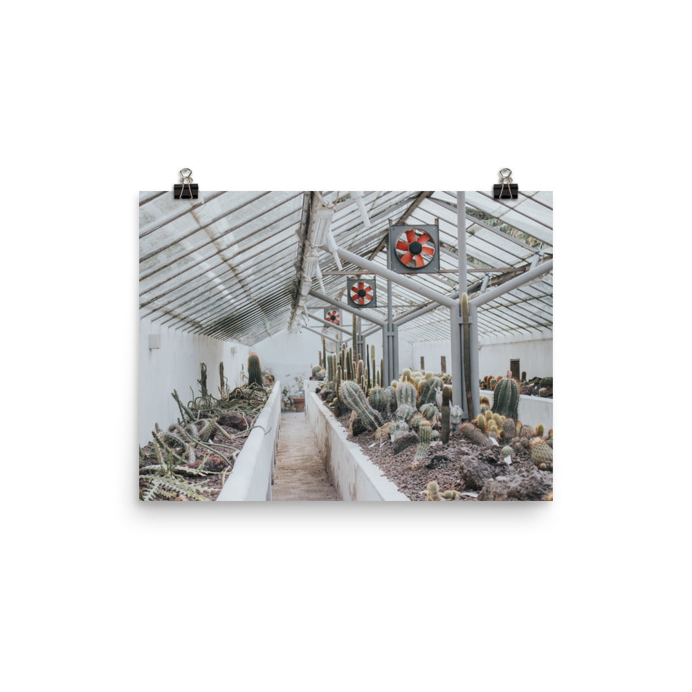 Glasshouse ©AndyAlexPhotography