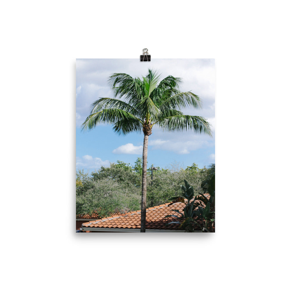 Get Off My Cloud ©AndyAlexPhotography