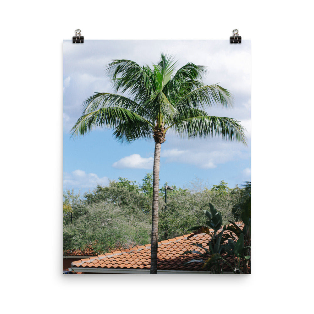 Get Off My Cloud ©AndyAlexPhotography