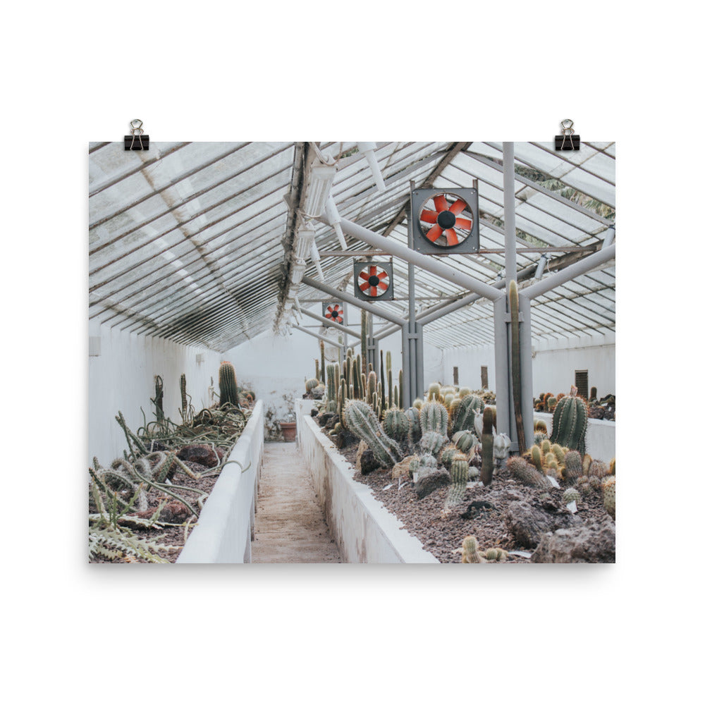 Glasshouse ©AndyAlexPhotography