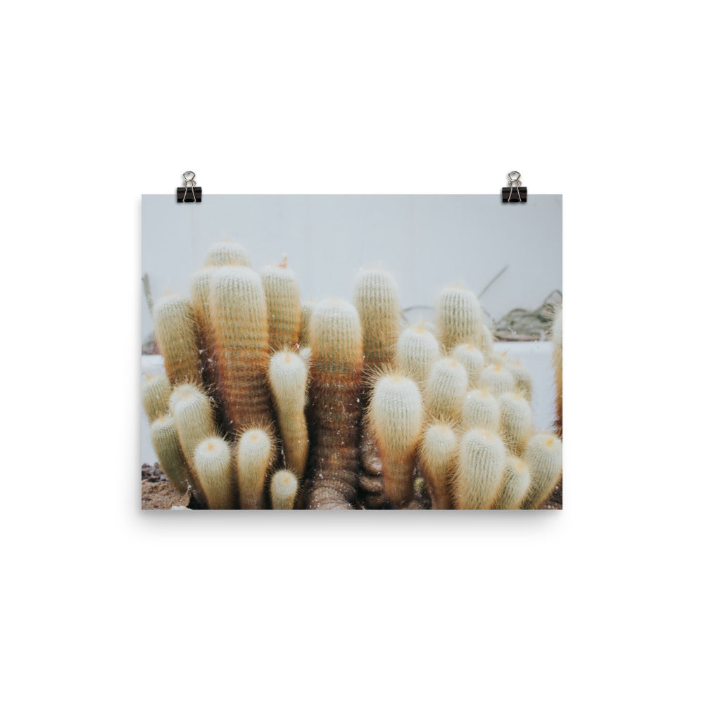 Guarded ©AndyAlexPhotography